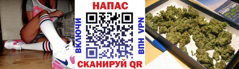 где купить   Екатеринбург  Канабис White Widow 